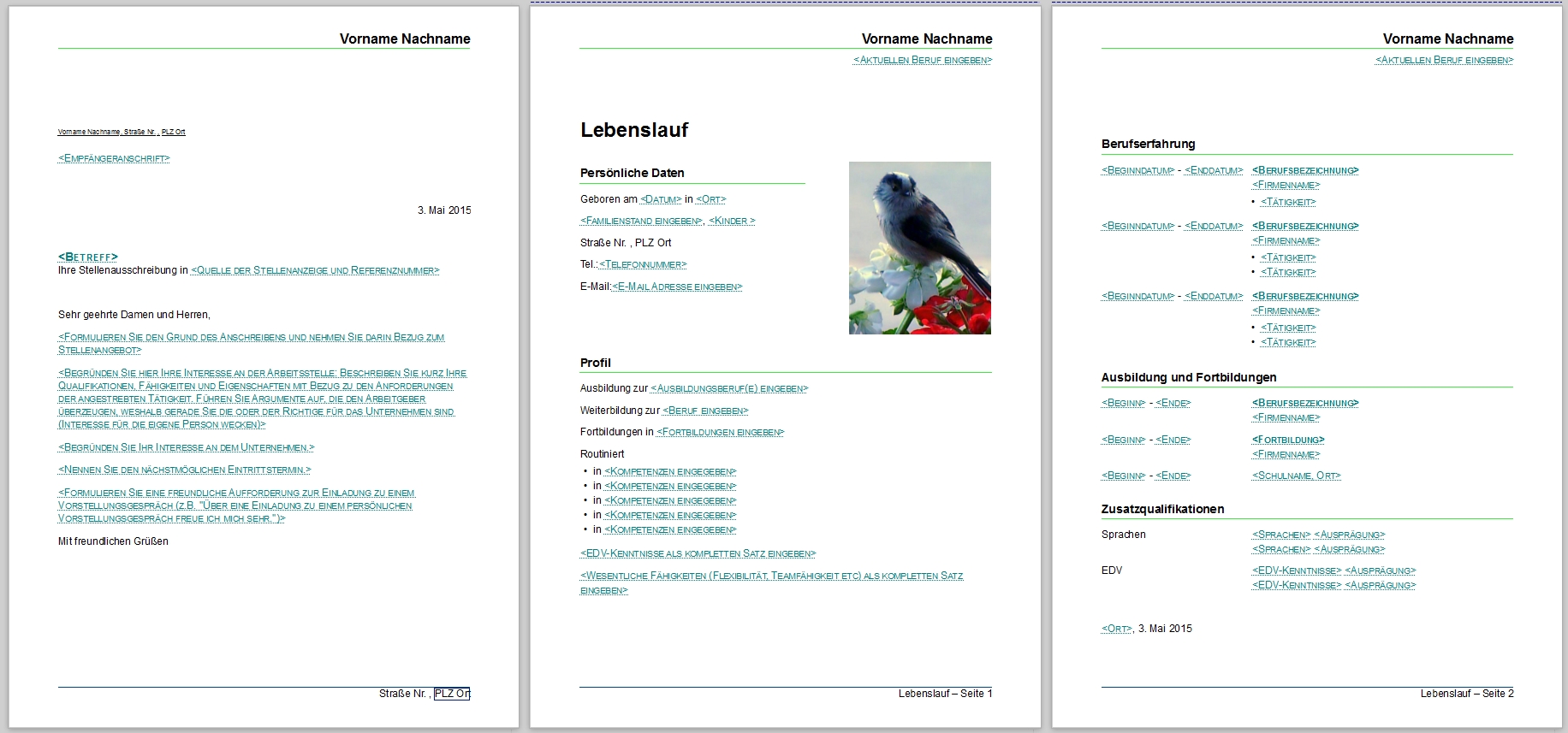 download gender and welfare state regimes gender and politics